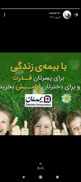 هلدینگ رز