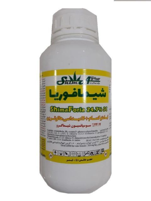 افوریا شیماگرو