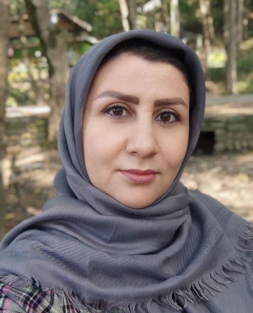 شرکت گسترش طراحان نقش الماس/شرکت اینترنتی پنبه ریز