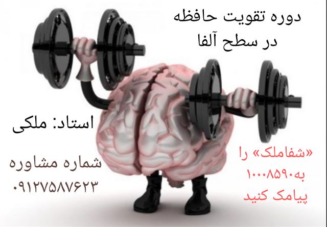 دوره تقویت حافظه در سطح آلفا