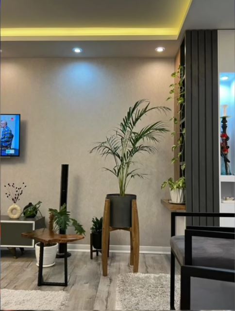 املاک شاهان