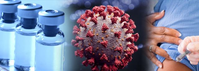 طراحی واکسن 