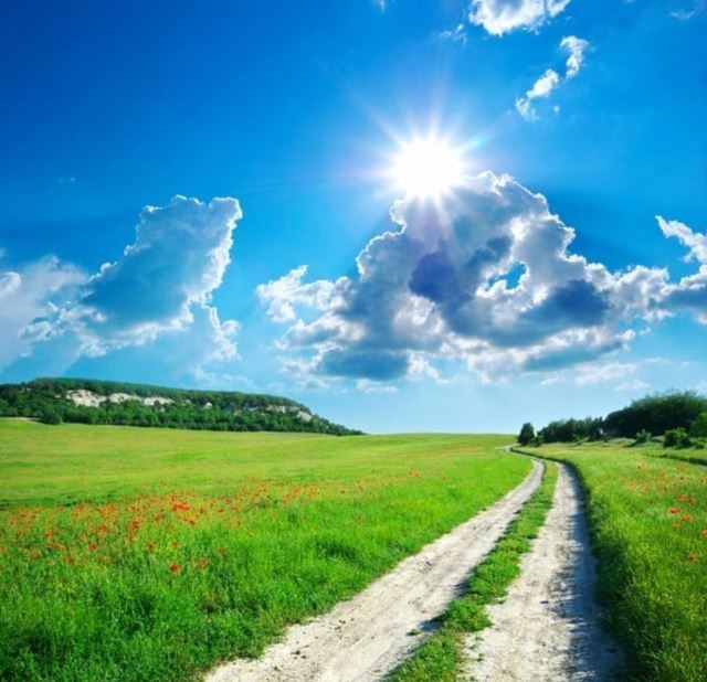 محصولات ارگانیک