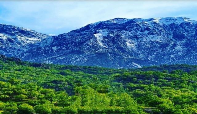 کارآفرینان