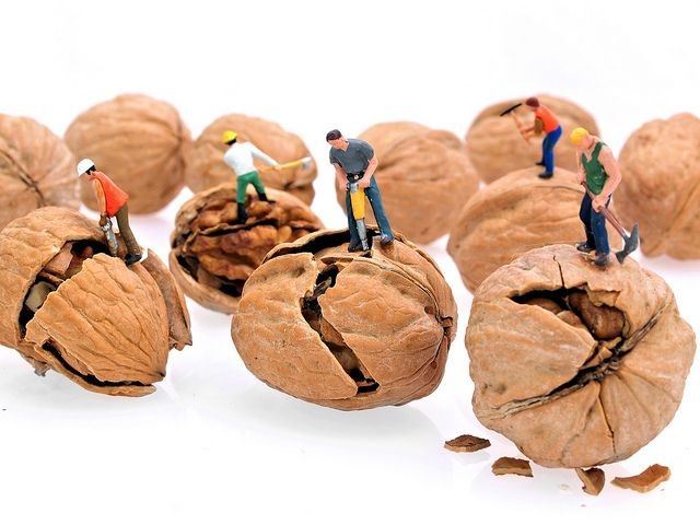 خشکبار پارس سیرجان