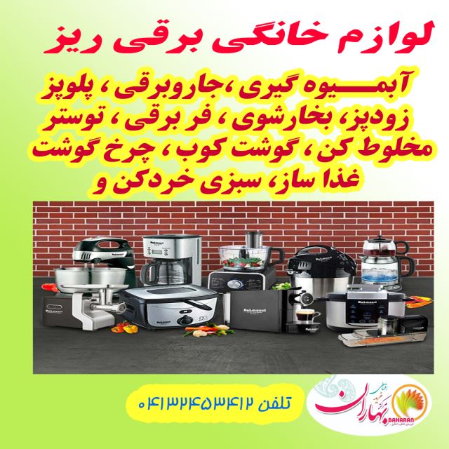 لوازم خانگی ریز برقی 