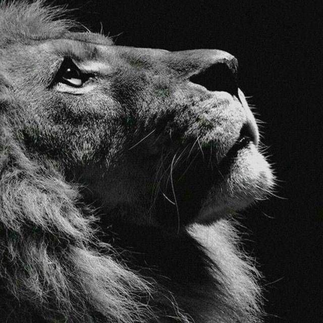 گسترش کسب و کار با محمدرضا باقرزاده 