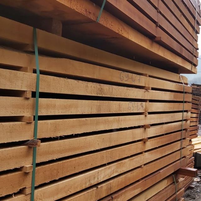 تولید چوب راش