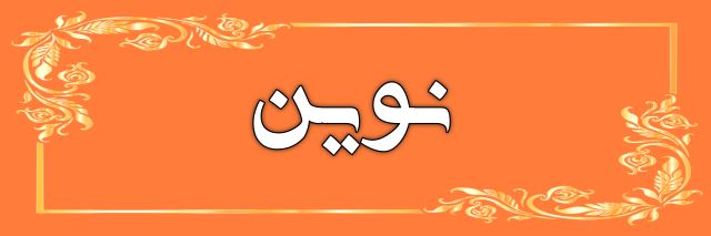دیزاین نوین
