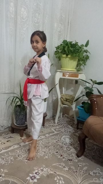 تکواندوکار