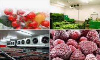 ساخت سردخانه در یاسوج