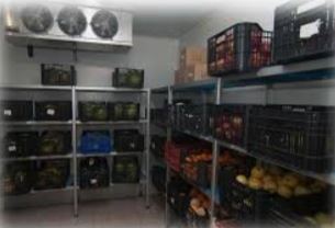 ساخت سردخانه در یاسوج