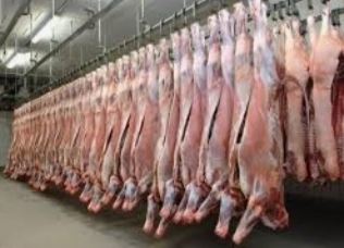 ساخت سردخانه در یاسوج