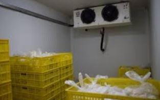 ساخت سردخانه در بیرجند