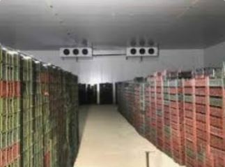 ساخت سردخانه در قشم