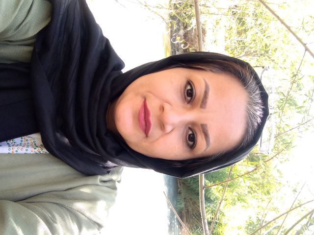 ارائه خدمات it