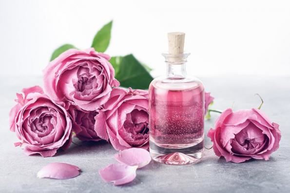 فروش غنچه گل محمدی و گلاب در کرمان