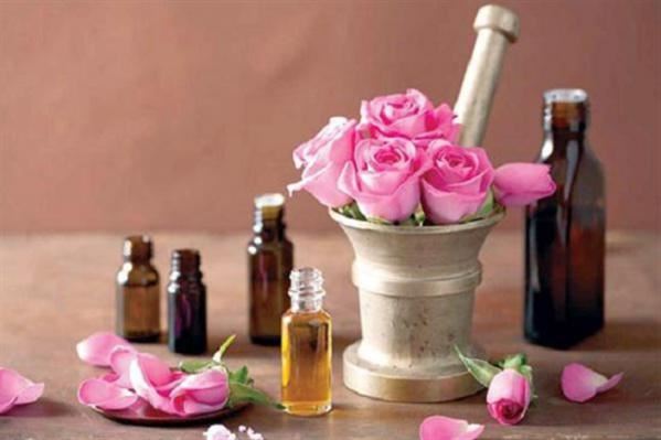 فروش غنچه گل محمدی و گلاب در کرمان