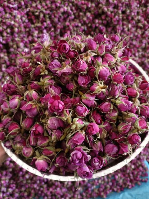 فروش غنچه گل محمدی لاله زار کرمان