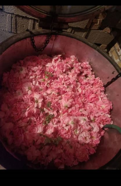 فروش غنچه گل محمدی و گلاب در کرمان