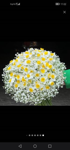 بهترین گل خانه در مشهد