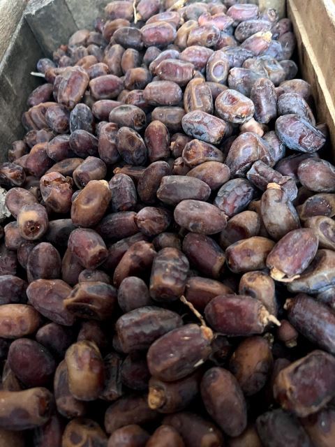 روغن خراطین