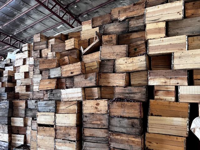 عطاری تقی زاده