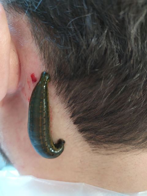 مرکزحجامت در پردیس