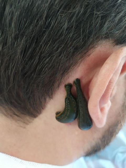 مرکزحجامت در رودهن