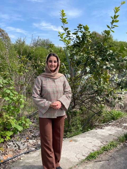 گسترش طراحان نقش الماس