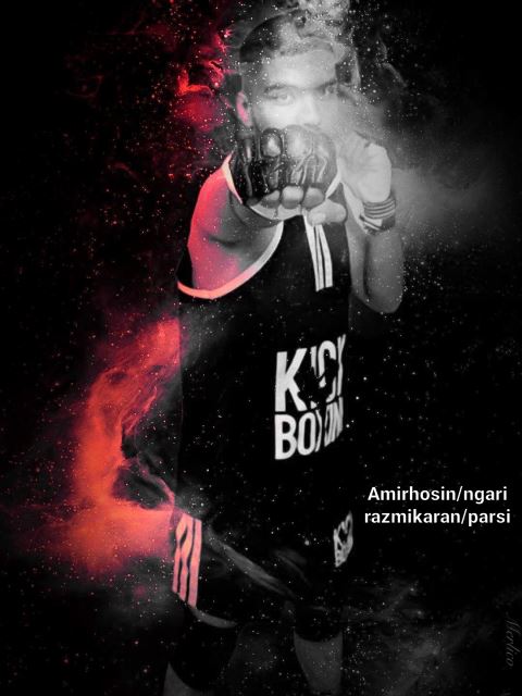 استاد امیرحسین نگاری 