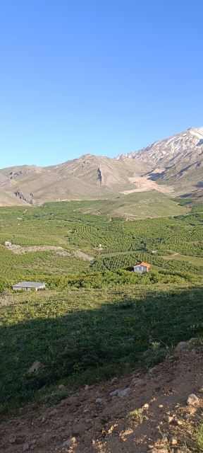 اجاره ویلا در پادنا 