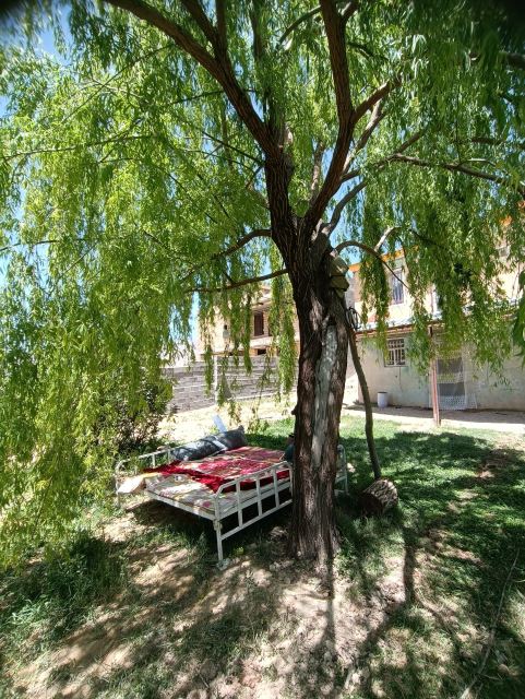 اقامت در پادنا