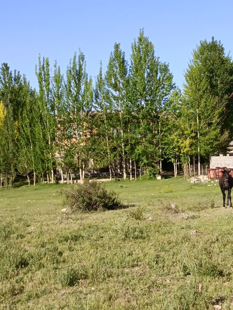 اجاره ویلا سی سخت