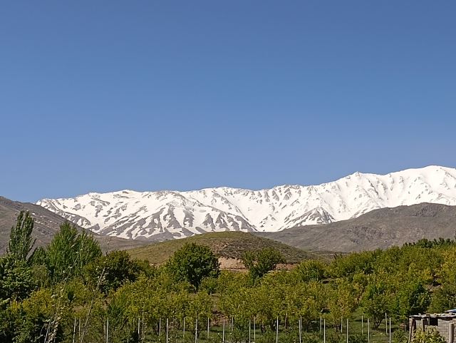 اجاره ویلا یاسوج