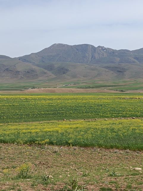 اجاره ویلا پادنا