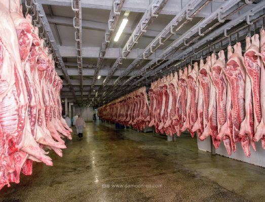 ساخت سردخانه در کرج