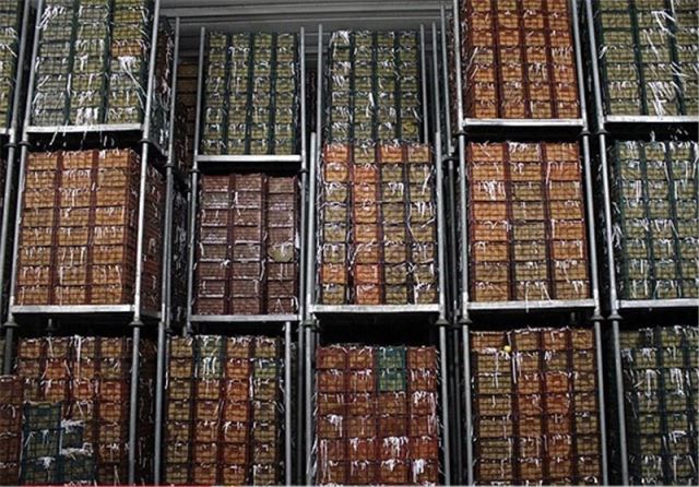 ساخت سردخانه در تبریز