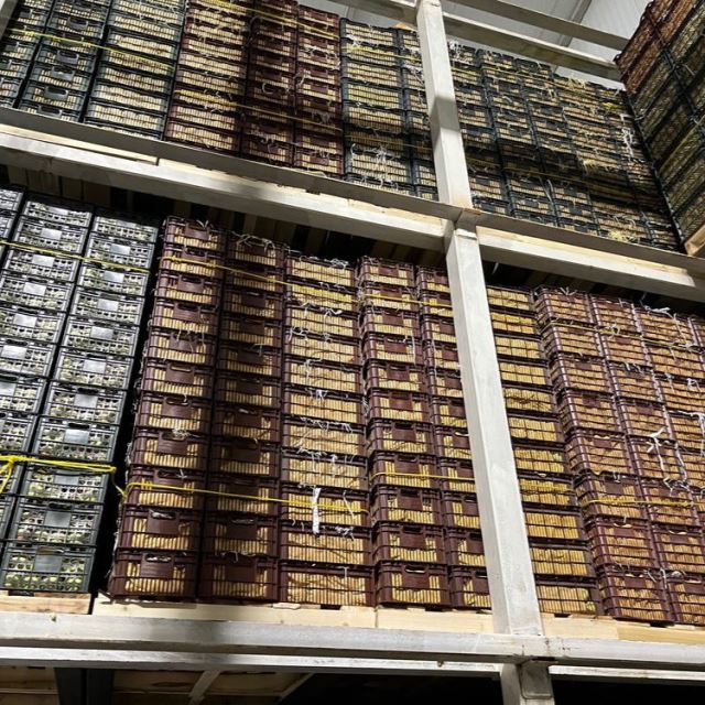 ساخت سردخانه در تبریز