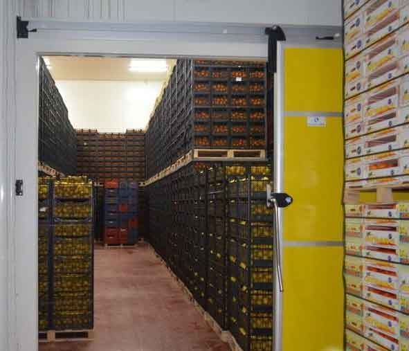 ساخت سردخانه در تبریز