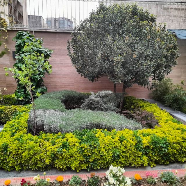 باغبان سیار در تهران