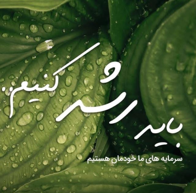 رشد