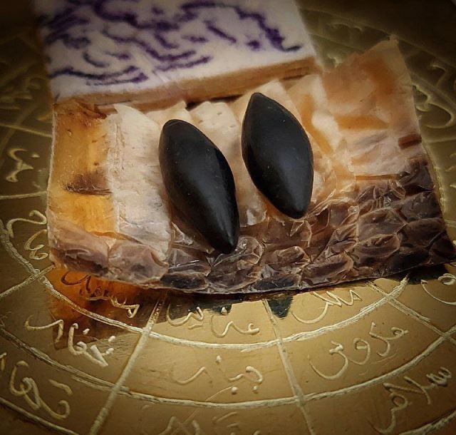 مهره مار