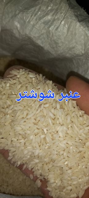 برنج طارم هاشمی