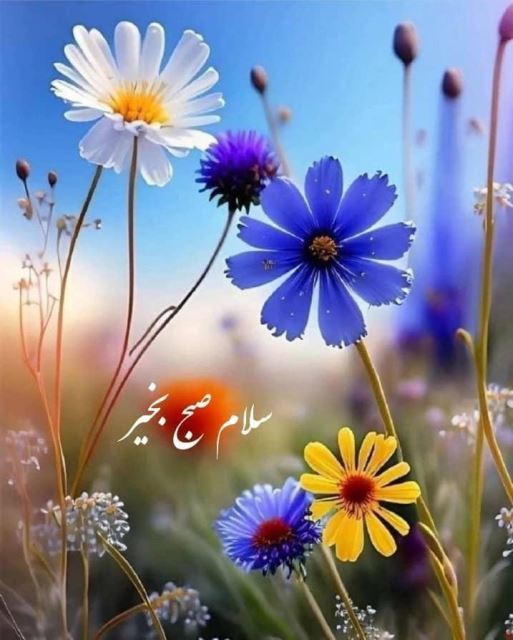 فاستونی مطهری ساده 