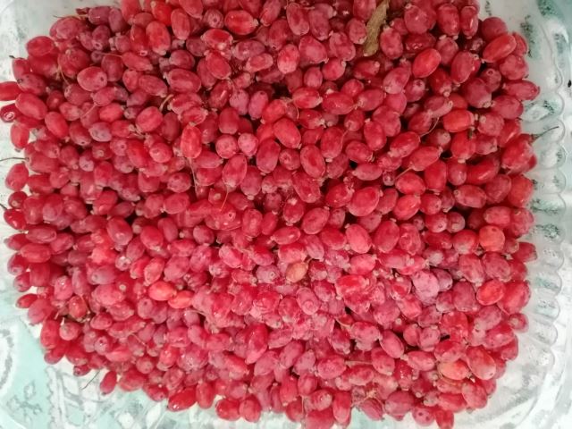 زرشک تازه نیم کیلویی