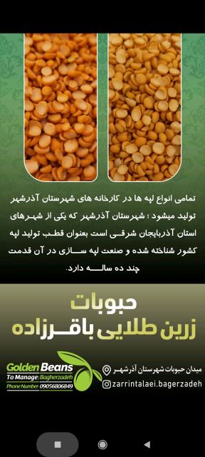 رضا باقرزاده