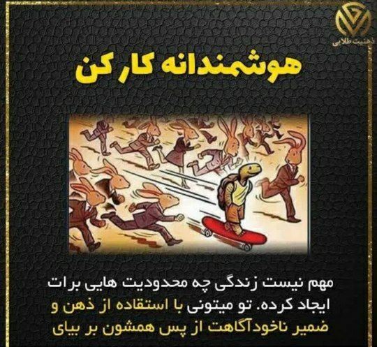 همه چیز درباره آینوتی
