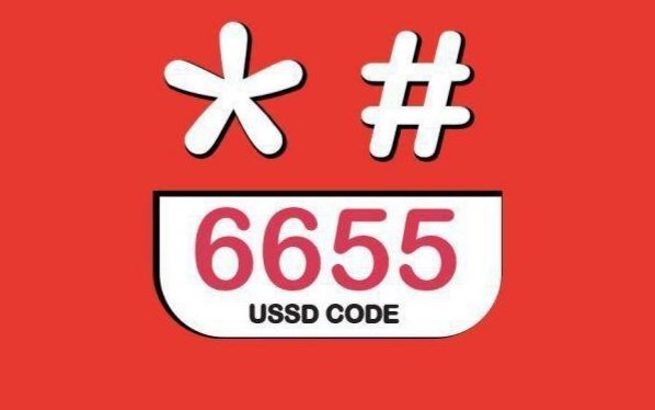 جواد غریب نواز مشاور و کارشناس شرکت گسترش طراحان نقش الماس 