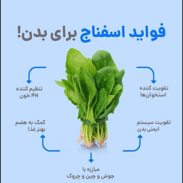 اسفناج